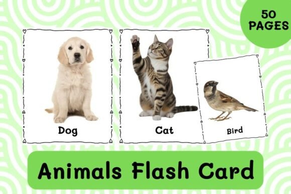 50 Animals Flash Card Printable No Prep