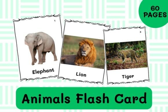 60 Animals Flash Card Printable No Prep