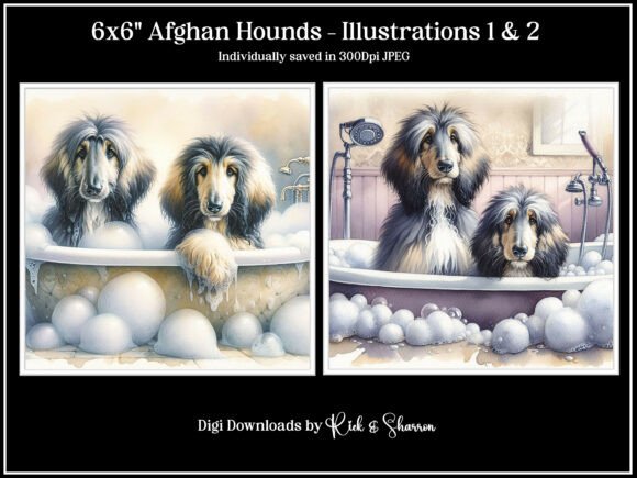 Afghan Hound Illustrations 1-4 JPEG
